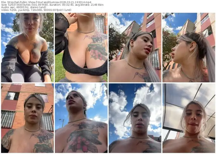 stripchat-youcandisumisa-03-21-2026-19-33-14