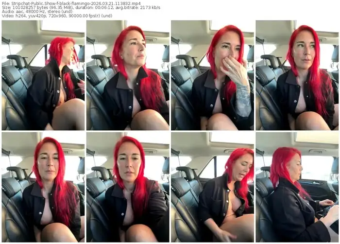 stripchat-black-flamingo-03-21-2026-11-38-32