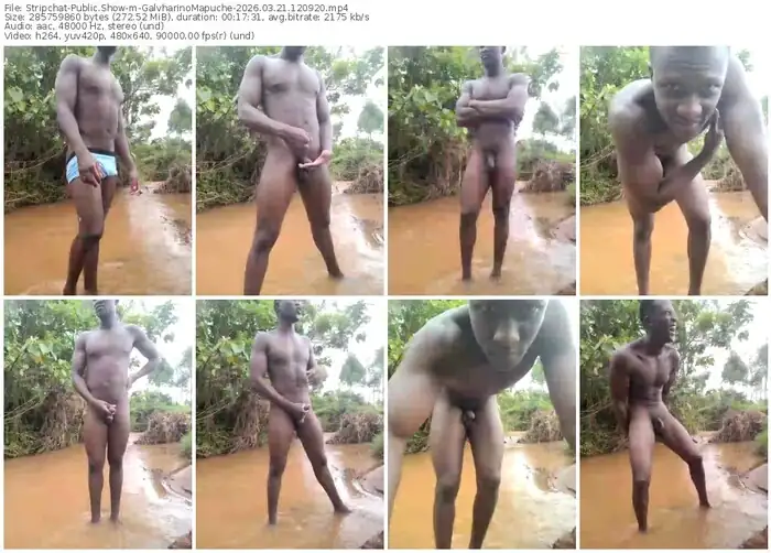 stripchat-galvharinomapuche-03-21-2026-12-09-20