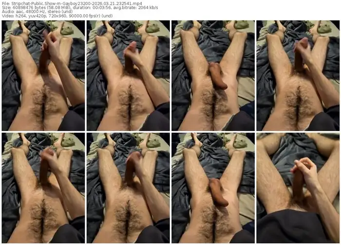 stripchat-gayboy23200-03-21-2026-23-25-41