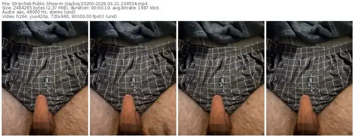 stripchat-gayboy23200-03-21-2026-23-45-04