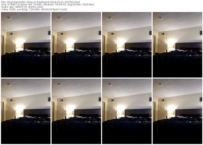 stripchat-roddog18-03-21-2026-03-25-54