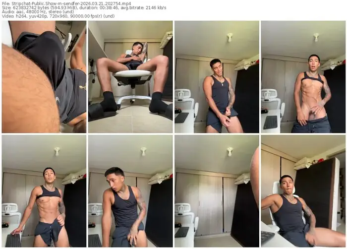 stripchat-sendfer-03-21-2026-20-27-54