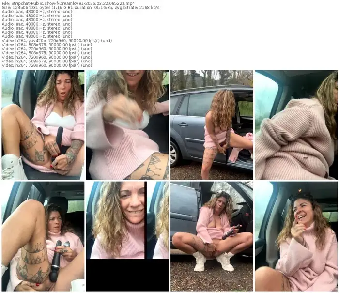 stripchat-dreamlove1-03-22-2026-08-52-23