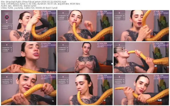 stripchat-evacanton-03-22-2026-05-42-52