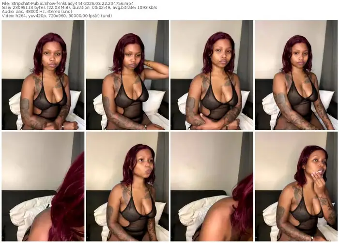 stripchat-inklady444-03-22-2026-20-47-56