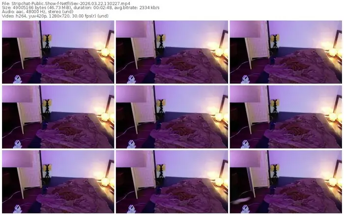 stripchat-netflisex-03-22-2026-13-02-27