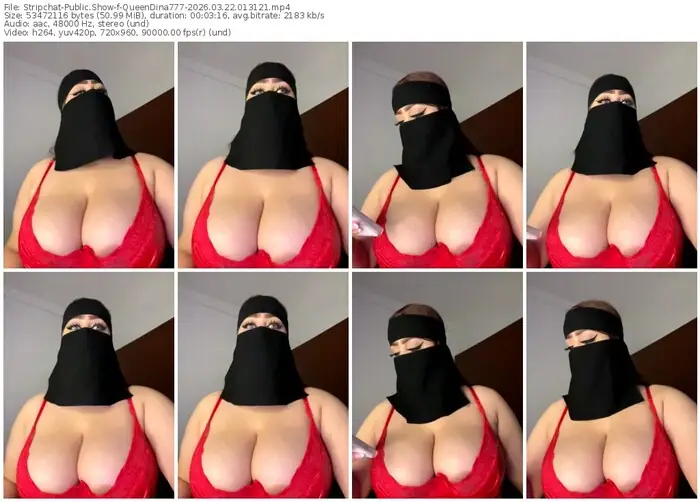 stripchat-queendina777-03-22-2026-01-31-21