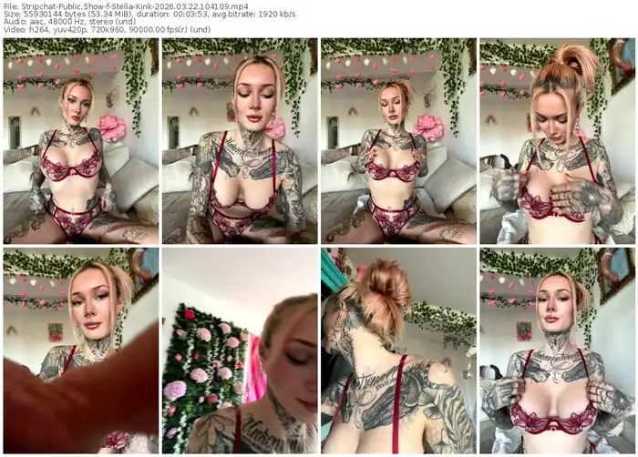 stripchat-stella-kink-03-22-2026-10-41-09