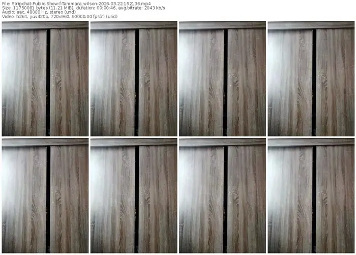 stripchat-tammara_wilson-03-22-2026-19-21-36