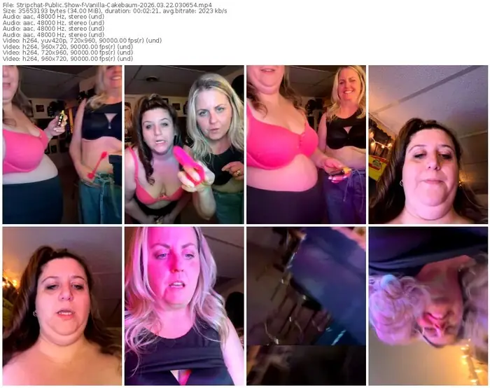 stripchat-vanilla-cakebaum-03-22-2026-03-06-54