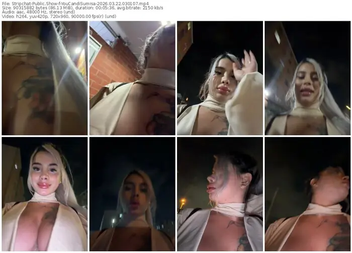 stripchat-youcandisumisa-03-22-2026-03-01-07