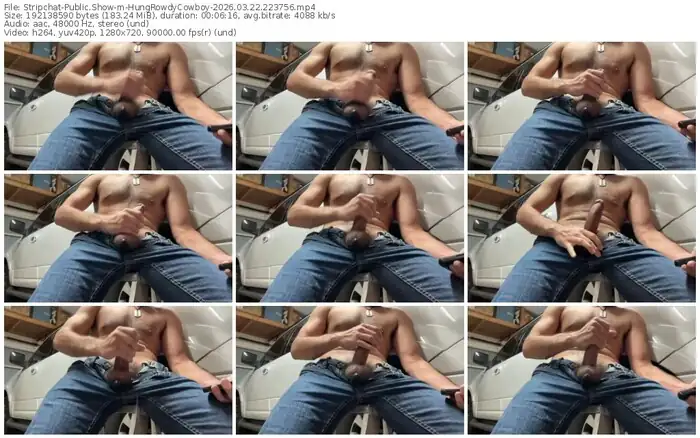 stripchat-hungrowdycowboy-03-22-2026-22-37-56