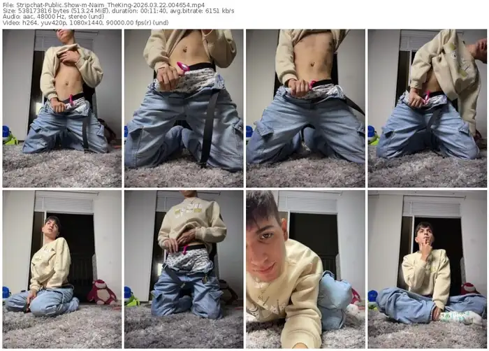 stripchat-naim_theking-03-22-2026-00-46-54