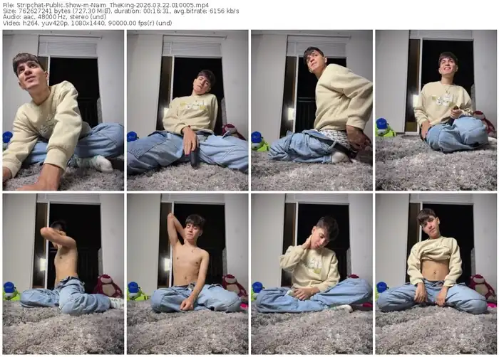stripchat-naim_theking-03-22-2026-01-00-05