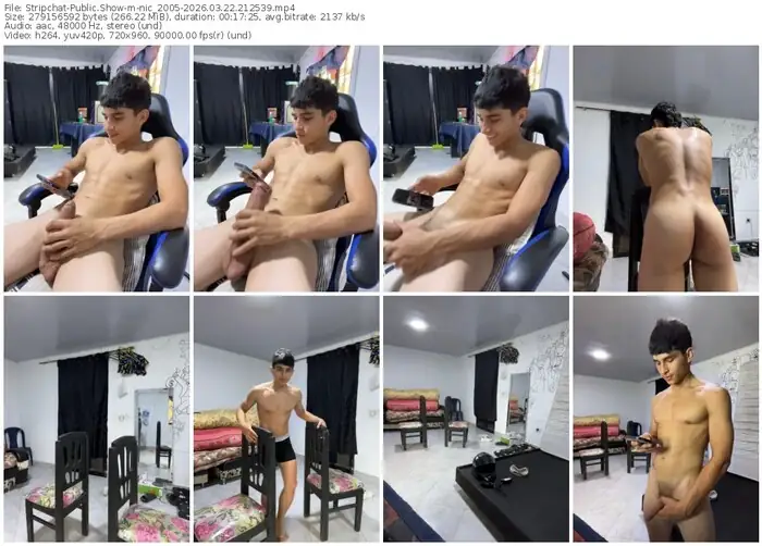 stripchat-nic_2005-03-22-2026-21-25-39