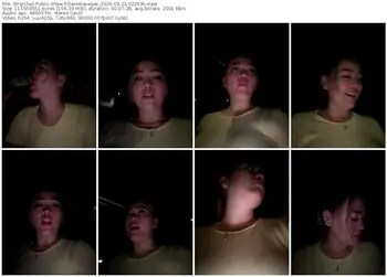 stripchat-danielavegax-03-23-2026-02-26-30