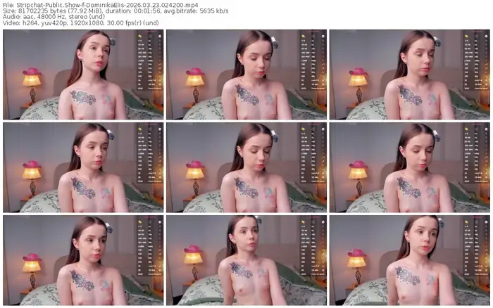 stripchat-dominikaelis-03-23-2026-02-42-00