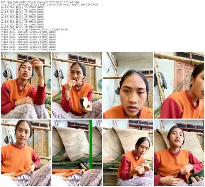 stripchat-hoa-tuylip-03-23-2026-07-01-41