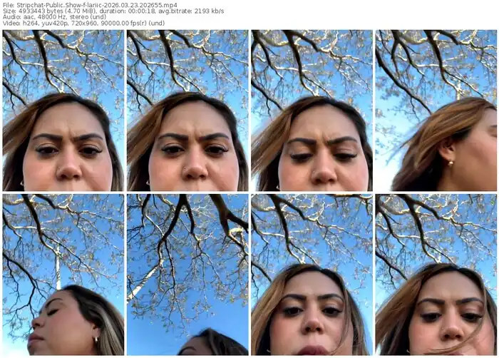 stripchat-lariic-03-23-2026-20-26-55