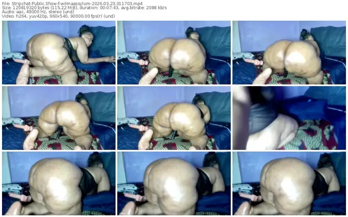stripchat-wilmaassylum-03-23-2026-01-17-03