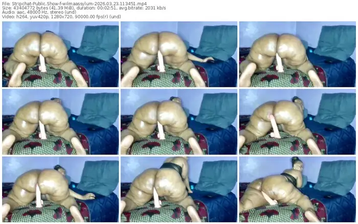 stripchat-wilmaassylum-03-23-2026-11-34-51