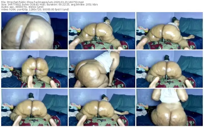 stripchat-wilmaassylum-03-23-2026-16-07-53