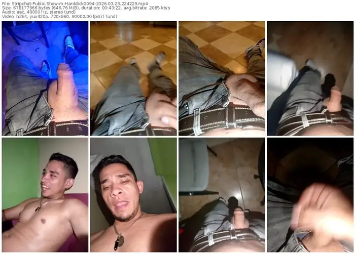 stripchat-harddick0094-03-23-2026-22-42-29