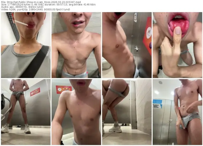 stripchat-liam_moss-03-23-2026-01-53-47