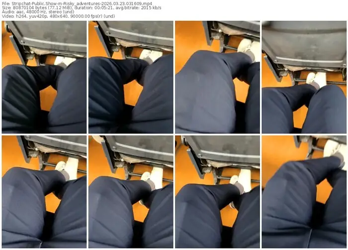 stripchat-risky_adventures-03-23-2026-03-16-09
