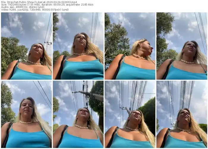 stripchat-likacat-03-24-2026-02-26-33