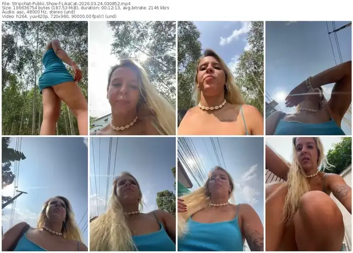 stripchat-likacat-03-24-2026-03-08-52