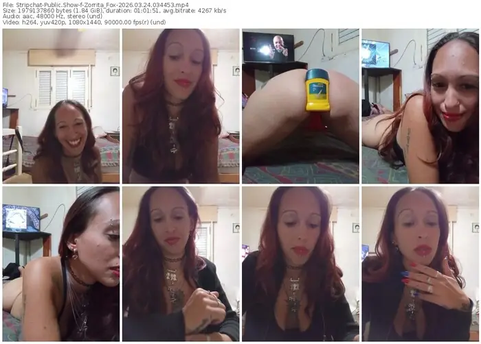 stripchat-zorrita_fox-03-24-2026-03-44-53