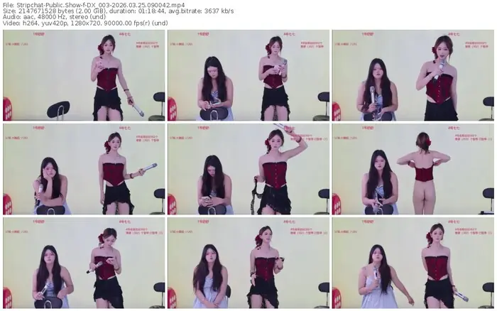 stripchat-dx_003-03-25-2026-09-00-42