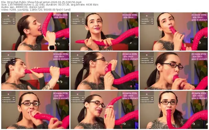 stripchat-evacanton-03-25-2026-02-41-56