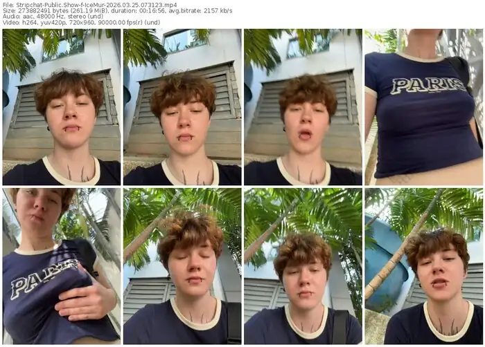 stripchat-icemur-03-25-2026-07-31-23