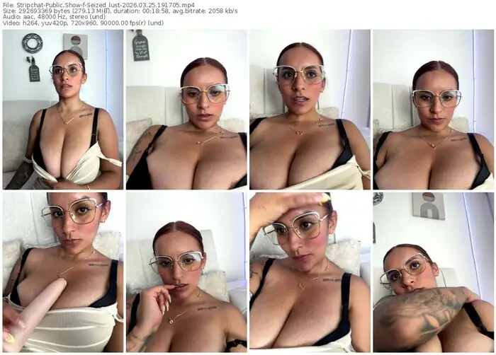 stripchat-seized_lust-03-25-2026-19-17-05