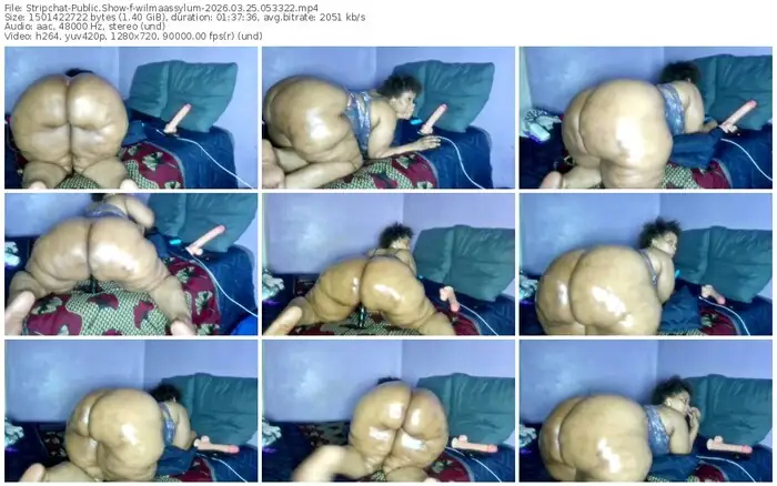 stripchat-wilmaassylum-03-25-2026-05-33-22