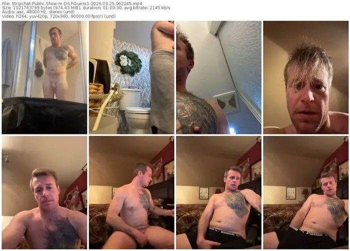 stripchat-dilfiguess1-03-25-2026-06-22-45