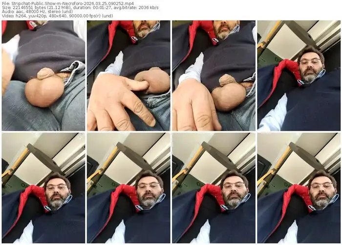 stripchat-necroforo-03-25-2026-09-02-52