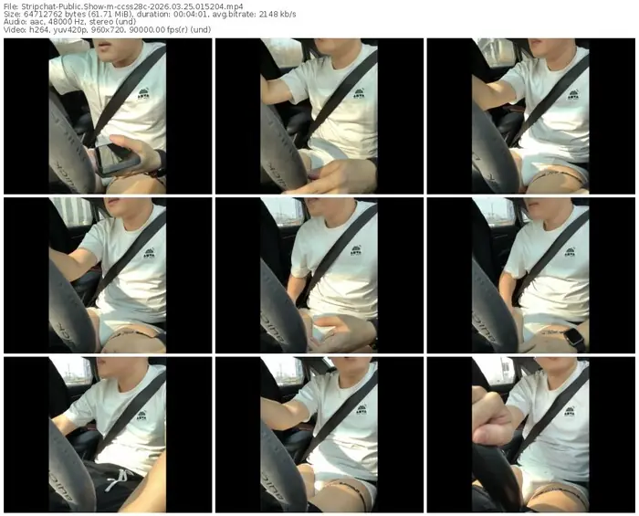 stripchat-ccss28c-03-25-2026-01-52-04