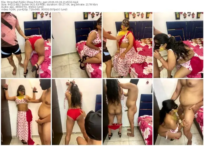 stripchat-dirty_pair-03-26-2026-21-45-32