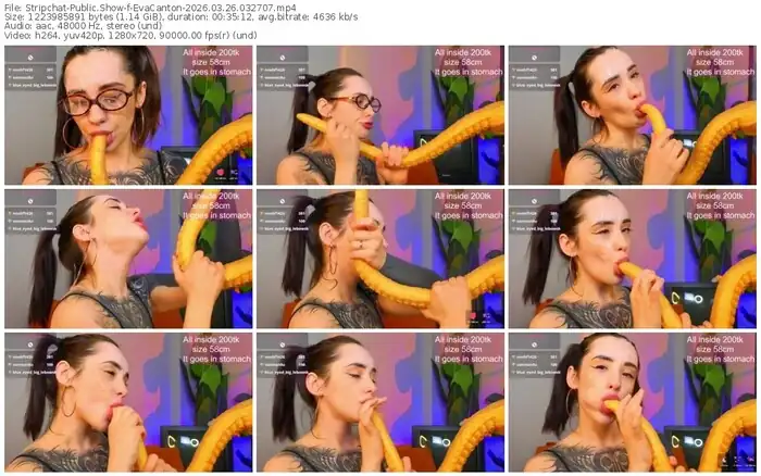stripchat-evacanton-03-26-2026-03-27-07