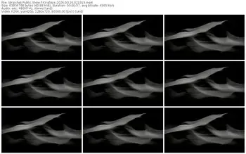 stripchat-kiraskys-03-26-2026-02-19-19