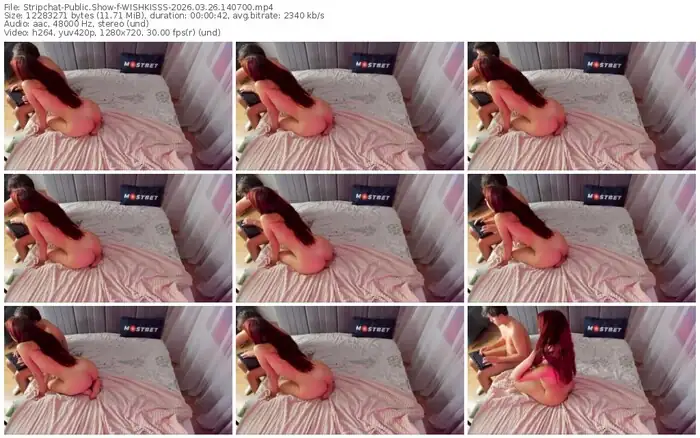 stripchat-wishkisss-03-26-2026-14-07-00