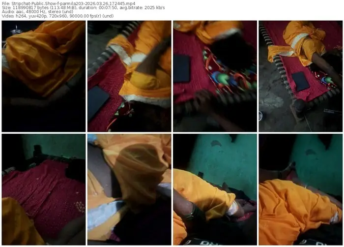 stripchat-parmila203-03-26-2026-17-24-45