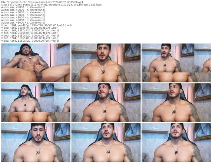 stripchat-eros-steel-03-26-2026-00-05-13