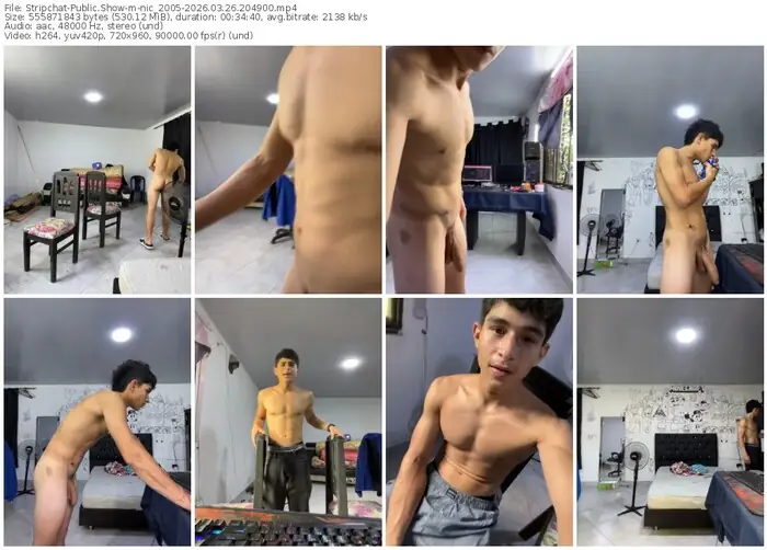 stripchat-nic_2005-03-26-2026-20-49-00