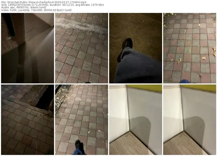 stripchat-foxfoxfox4-03-27-2026-17-04-04