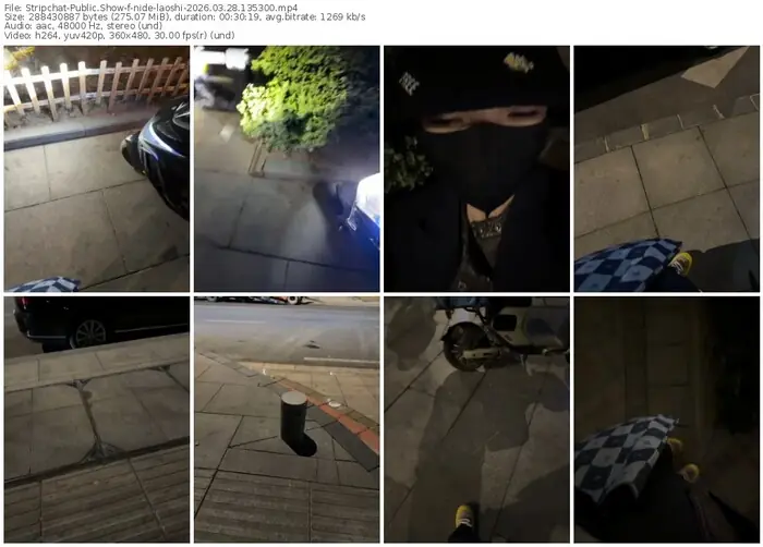 stripchat-nide-laoshi-03-28-2026-13-53-00